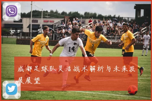 成都足球队灵活战术解析与未来发展展望