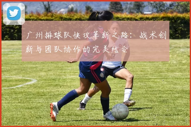 广州排球队快攻革新之路：战术创新与团队协作的完美结合
