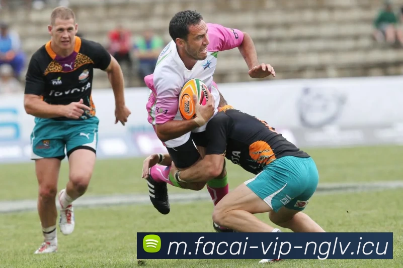 乐鱼体育服务体系